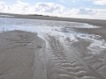 Wattenmeer 03